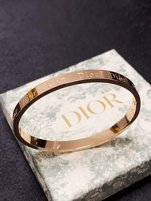 Il nuovo bracciale in materiale che preserva il colore in acciaio inossidabile 14K di Dior